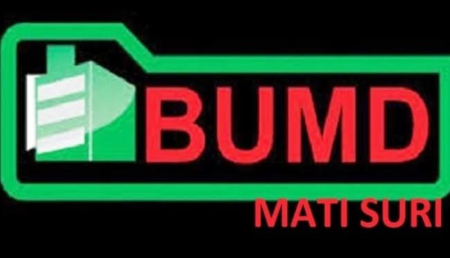 Logo ilustrasi BUMD